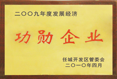 被評(píng)為2009年度發(fā)展經(jīng)濟(jì)功勛企業(yè)