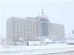 瑞雪兆豐年，踏雪沃爾華